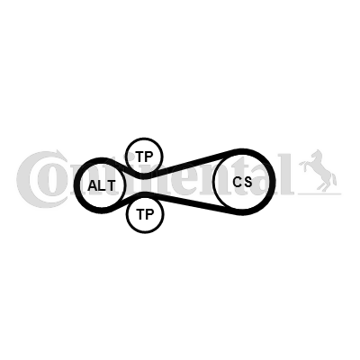 CONTINENTAL CTAM 6PK922...